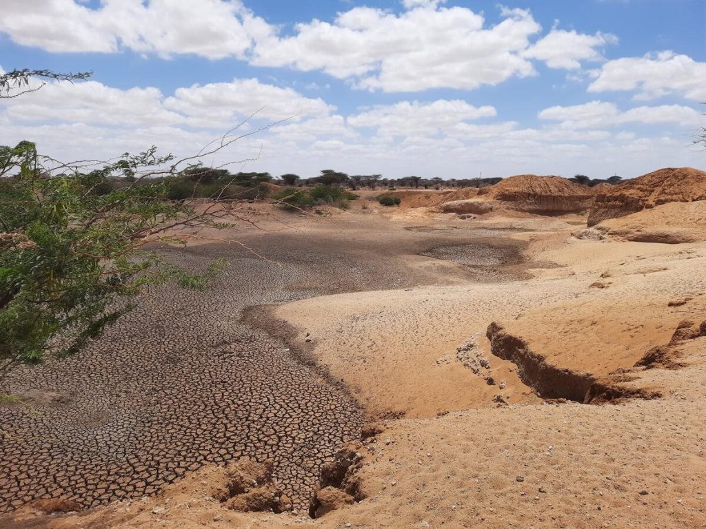 Αυξανόμενη απειλή για τη γεωργική παραγωγικότητα η υποβάθμιση της γης λέει ο FAO