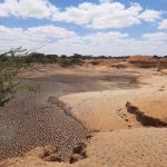 Αυξανόμενη απειλή για τη γεωργική παραγωγικότητα η υποβάθμιση της γης λέει ο FAO