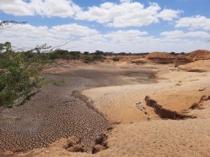 Αυξανόμενη απειλή για τη γεωργική παραγωγικότητα η υποβάθμιση της γης λέει ο FAO