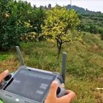 Κίνα: Συγκομιδή λεμονιών με... drones στους ορεινούς οπωρώνες της Τσονγκτσίνγκ (βίντεο)