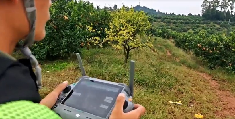 Κίνα: Συγκομιδή λεμονιών με... drones στους ορεινούς οπωρώνες της Τσονγκτσίνγκ (βίντεο)