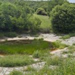 Πολύτιμες οι λούτσες που κρατούν νερό για τη μετακινούμενη κτηνοτροφία