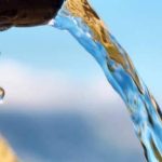 Αυξανόμενη ανθεκτικότητα: πώς η γαλλική βιοτεχνολογία βοηθά τις καλλιέργειες να εξοικονομούν νερό