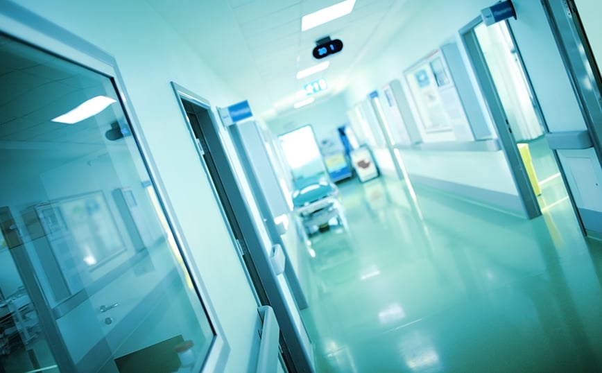 Πέθανε η 70χρονη που είχε δεχτεί επίθεση με πέτρα από 38χρονο όταν τάιζε αδέσποτες γάτες