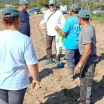 Οδηγός αρχικών προϋποθέσεων για την επιτυχή καλλιέργεια ακτινιδίων