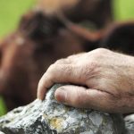 Ανοίγει παραθυράκι στους συνταξιούχους ξανά απ’ τη νέα ΚΑΠ με άμεσες ενισχύσεις έως 3.000 ευρώ μέσω μικροκαλλιεργητών