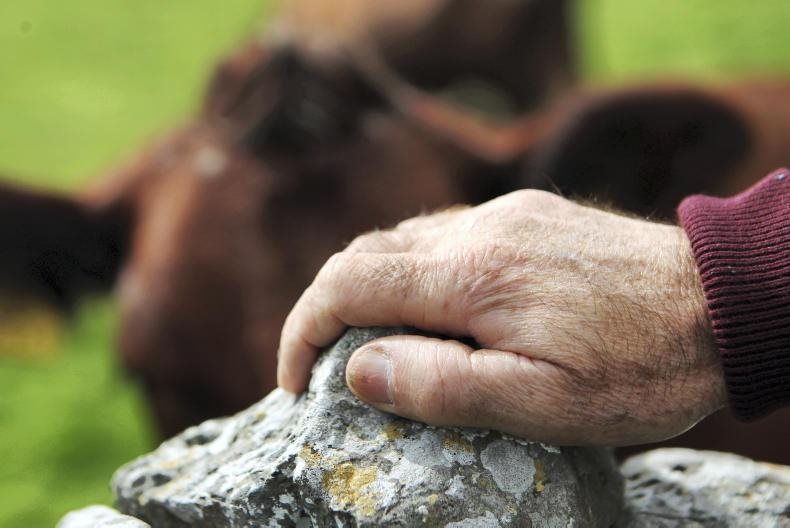Ανοίγει παραθυράκι  στους συνταξιούχους  ξανά απ’ τη νέα ΚΑΠ  με άμεσες ενισχύσεις  έως 3.000 ευρώ μέσω  μικροκαλλιεργητών