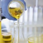 Νέα ανακάλυψη για την αντικαρκινική δράση του ελαιολάδου από το Πανεπιστήμιο του Χονγκ Κονγκ