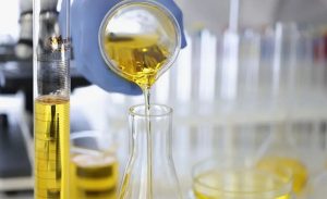 Νέα ανακάλυψη για την αντικαρκινική δράση του ελαιολάδου από το Πανεπιστήμιο του Χονγκ Κονγκ