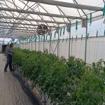 Φλώρινα: Πειραματικά γεωθερμικά θερμοκήπια από το Τμήμα Γεωπονίας