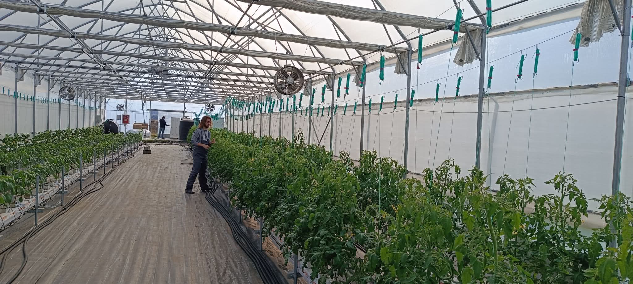 Φλώρινα: Πειραματικά γεωθερμικά θερμοκήπια από το Τμήμα Γεωπονίας