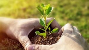 Η Αθήνα στο επίκεντρο της ευρωπαϊκής αγροδιατροφής από 5 έως 7 Νοεμβρίου 2025