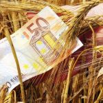 Μείωση 23,5% για το Μέτρο 23 επιβεβαιώνει το ΥΠΑΑΤ