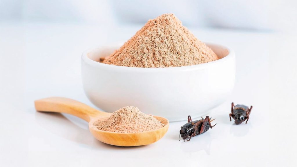 Πρωτεΐνες εντόμων, η νέα τάση που αλλάζει το «παιχνίδι» στην ευρωπαϊκή αγροδιατροφή