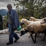 Στην καρδιά της Αθήνας για απληρωσιές-ευλογιά αγρότες, κτηνοτρόφοι