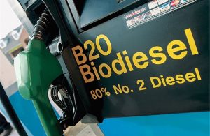 Στα 40 λεπτά ο ελληνικός ηλίανθος, πάνω από 50 λεπτά σε όλα τα Βαλκάνια