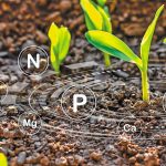NUTRI-CHECK NET: Οι βέλτιστες πρακτικές στην Ευρώπη για τη θρέψη των φυτών