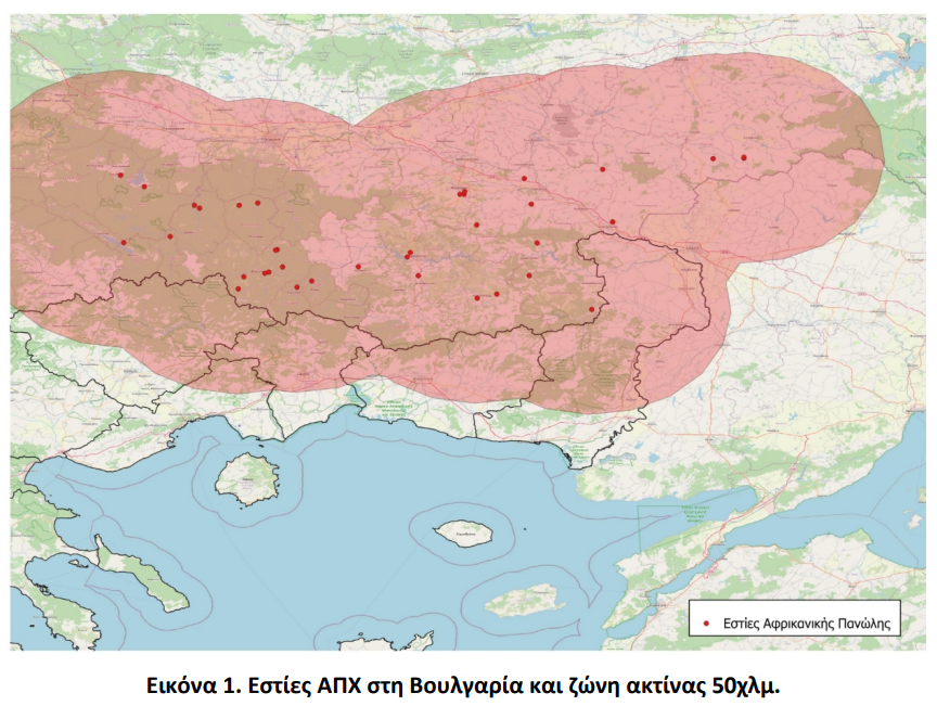 Σε έξαρση η Αφρικανική Πανώλη των Χοίρων στη Βουλγαρία – Σε επιφυλακή οι αρχές στην Ελλάδα