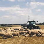 Σε… πολλές δόσεις η πληρωμή της Βασικής λέει το ΥΠΑΑΤ λίγο πριν την προκαταβολή