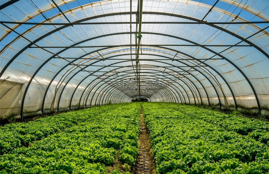 Έως 6 Νοεμβρίου αιτήσεις για ταχύρρυθμα τεχνικών θερμοκηπιακών καλλιεργειών του ΕΛΓΟ-ΔΗΜΗΤΡΑ
