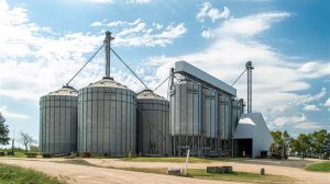 Η Αίγυπτος ετοιμάζει εθνικό πρόγραμμα σιλό για την ενίσχυση των αποθεμάτων σιταριού