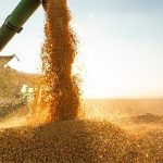 Νέα πτώση για δείκτη FAO τον Οκτώβριο, προς ιστορικό υψηλό τα αποθέματα δημητριακών