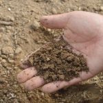 Η κυβέρνηση παραπλανά για τις αγροτικές πληρωμές: η Κομισιόν την διαψεύδει, οι αγρότες μένουν απλήρωτοι