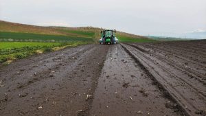 Σιτηρά: Σπορά μετ’ εμποδίων εξαιτίας των βροχών