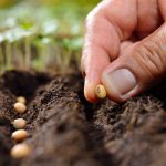 kina-sto-80-katagrafetai-to-pososto-efodiasmou-se-sporous-esoterikis-paragogis-kalyptontas-oli-tin-kineziki-epikrateia-175929