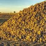 Ζάχαρη: Πού οδηγούνται οι τιμές μετά την αιφνιδιαστική ανοδική στροφή;