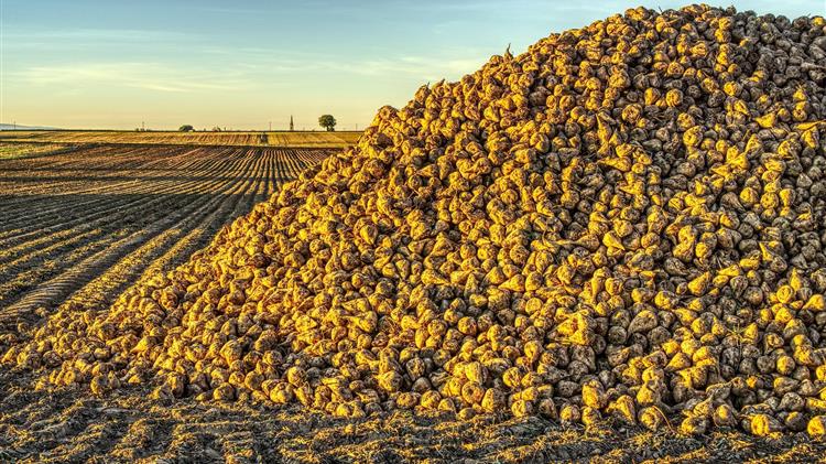 Ζάχαρη: Πού οδηγούνται οι τιμές μετά την αιφνιδιαστική ανοδική στροφή;