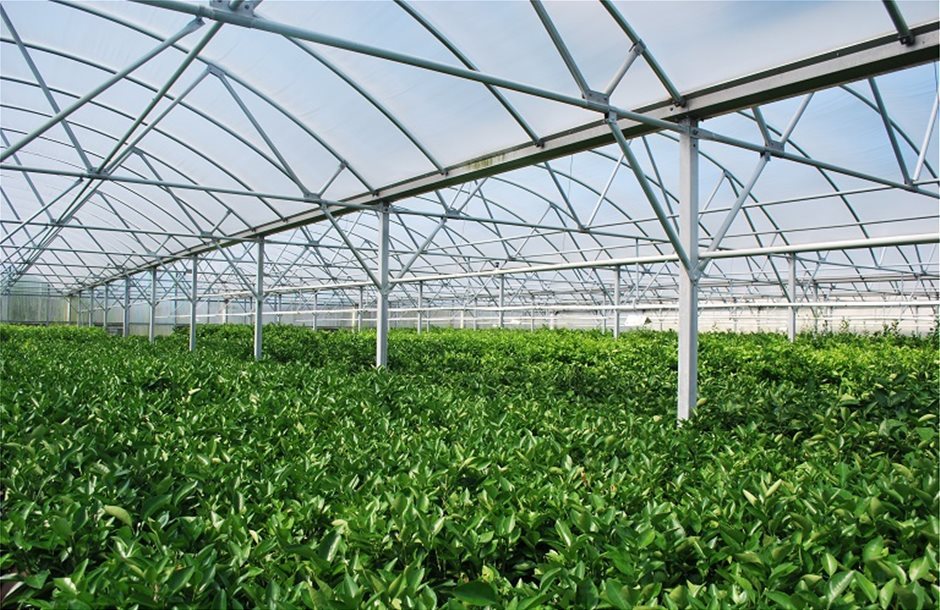 Παράταση ως 9 Δεκεμβρίου για αιτήσεις προγράμματος θερμοκηπιακών καλλιεργειών