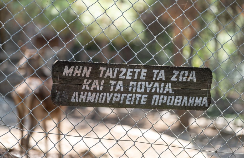 Θεσσαλονίκη: «Λουκέτο» στον ζωολογικό κήπο για κρούσμα βρουκέλλωσης σε κριάρι