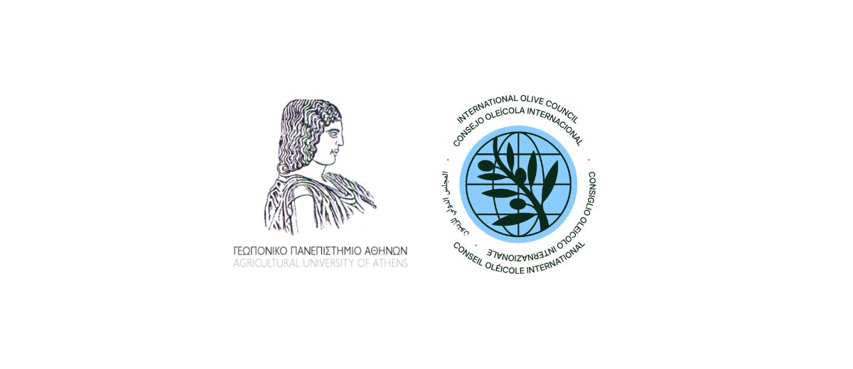 Συνεργασία ΔΟΕ και Γεωπονικού Πανεπιστημίου για την έρευνα και την εκπαίδευση στον τομέα της ελιάς