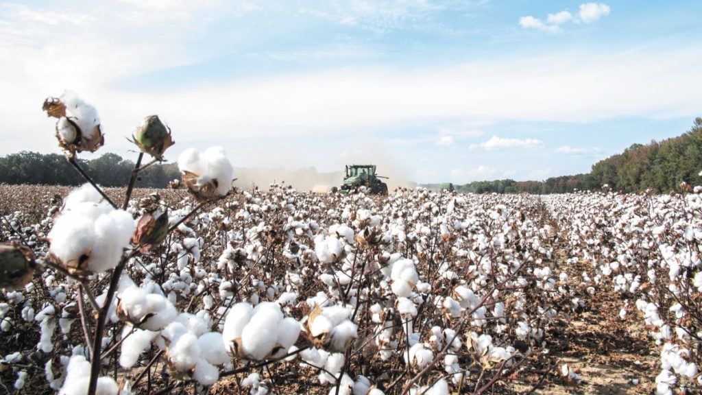 CORAGEN® 20 SC: Προστατεύει περισσότερα από όσα φαντάζεσαι