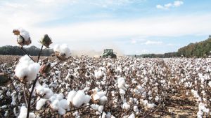 CORAGEN® 20 SC: Προστατεύει περισσότερα από όσα φαντάζεσαι