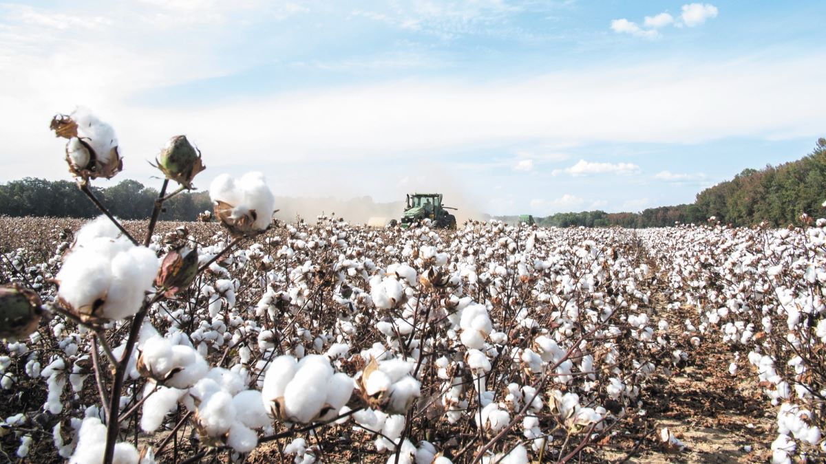 CORAGEN® 20 SC: Προστατεύει περισσότερα από όσα φαντάζεσαι