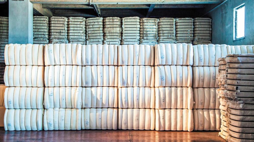 WASDE report: Νηνεμία μετά την τρικυμία στις διεθνείς αγορές εμπορευμάτων