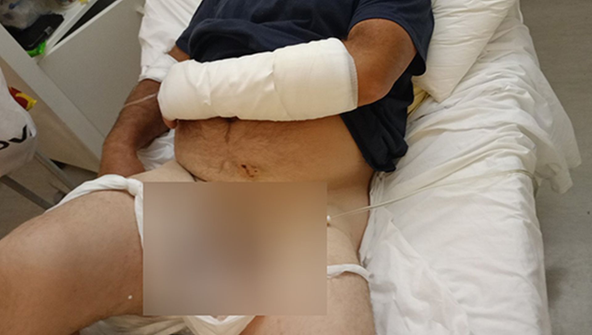 Βελεστίνο - σκύλοι - επίθεση