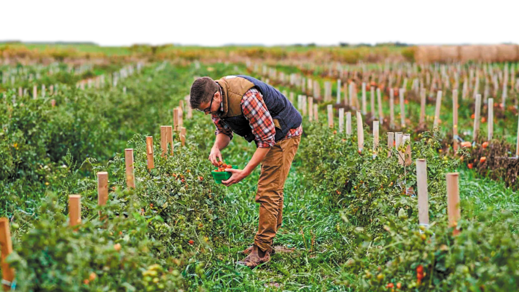 Η αγορά βιολογικών προϊόντων θα τριπλασιαστεί έως το 2032