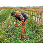 Η αγορά βιολογικών προϊόντων θα τριπλασιαστεί έως το 2032