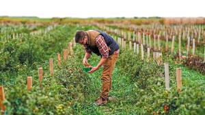 Η αγορά βιολογικών προϊόντων θα τριπλασιαστεί έως το 2032