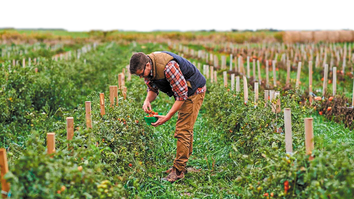 Η αγορά βιολογικών προϊόντων θα τριπλασιαστεί έως το 2032