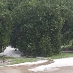 Μεγάλες ζημιές στην Αργολίδα από το χαλάζι