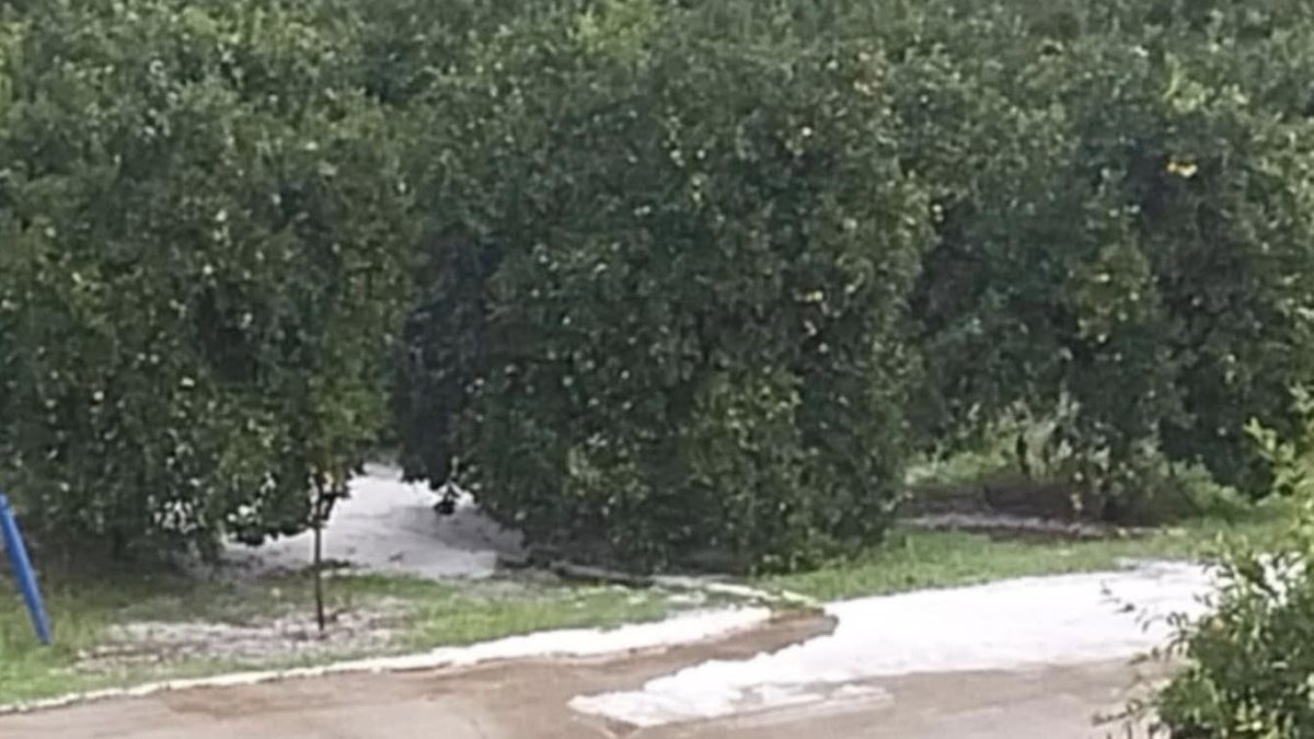 Μεγάλες ζημιές στην Αργολίδα από το χαλάζι