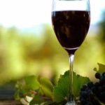 Το Ευρωκοινοβούλιο στηρίζει την ετικέτα «μειωμένου αλκοόλ» για το κρασί