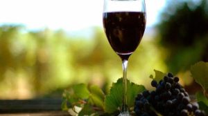 Το Ευρωκοινοβούλιο στηρίζει την ετικέτα «μειωμένου αλκοόλ» για το κρασί