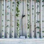 Πάει για "λουκέτο" ημεγαλύτερη κάθετη φάρμα των ΗΠΑ