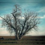 Η αθέατη κρίση της ελληνικής υπαίθρου