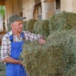 Παραμένουν απλήρωτοι σε  φερτά υλικά και ενίσχυση  ζωοτροφών όσοι έκαναν τη  δήλωση 27 με 29 Οκτωβρίου